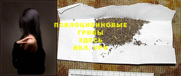 ALPHA PVP Нефтекумск