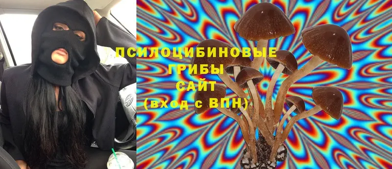 Псилоцибиновые грибы Magic Shrooms  купить закладку  Кинель 