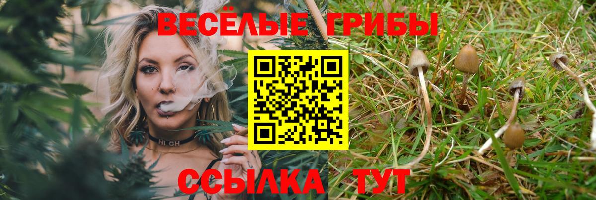 Псилоцибиновые грибы Magic Shrooms  Вход с VPN  Кинель 